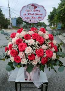 Chúc mừng lễ khai giảng - HG1603